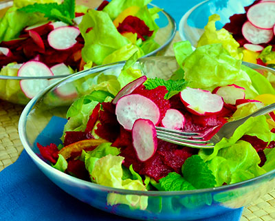 Foto: Serviervorschlag Salatteller mit Kopfsalat, Radieschen und Rote Bete
