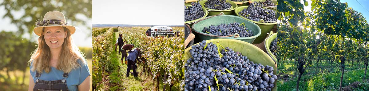 Weinverkostung mit Hanneke Schönhals auf unserem Bioland-Hof in Schürdt im Westerwald